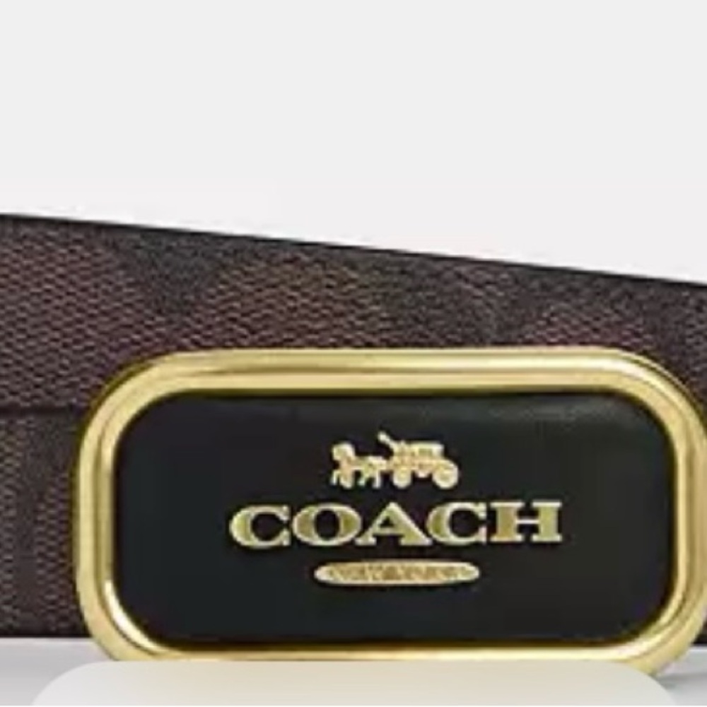 Coach Brown and Gold Belt